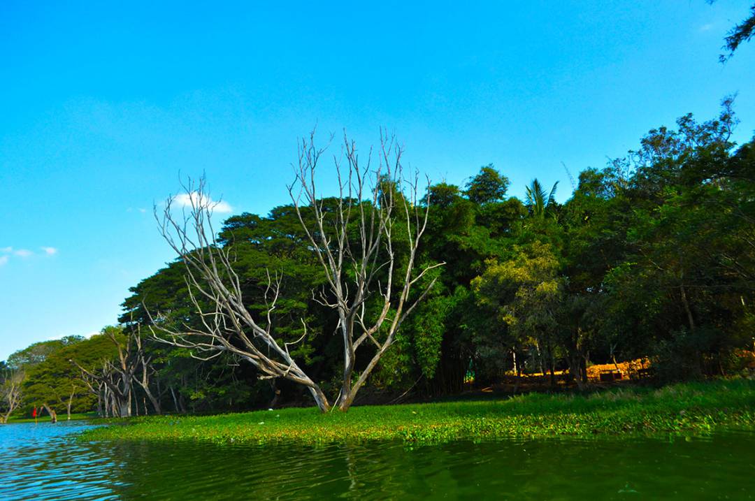 Karanji lake